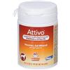 Attivo Pet Nutrition Attivo Tabs: vitamine e sali minerali per cani 1 pz Compresse
