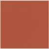 COPRIMACCHIA MANDR DUNISOFT 50pz 100x100 COD. 198832 MANDARINO (terracotta) DUNI