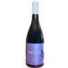 CANTINA DI SOLOPACA VINO AGLIANICO TRILLO FRIZZANTE CANTINA DI SOLOPACA IGP-75CL