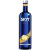 CAMPARI VODKA SKYY GINGER 70CL