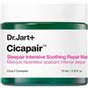 DR JART+ Dr.Jart+ Cicapair Sleepair Intensive Soothing Repair Mask 75 ml