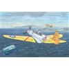 TRUMPETER TP02226 AEREO TBD-1 DEVASTATOR KIT 1:32 Modellino