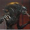 NECA ALIEN ROMULUS - SCORCHED XENOMORPH 20 cm ACTION FIGURE NEW