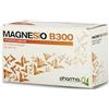 PHARMASI' Srl MAGNESIO B 300 30 BUSTINE