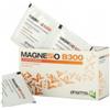 PHARMASI SRL Magnesio B 300 30 Bustine
