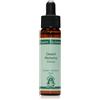 NATUR Srl Air Formula Comp del Destero dell'Arizona Desert Alchemy Flower Essences 10ml