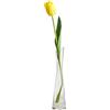 Ericotry Vaso in vetro soffiato da 20 cm realizzato a mano con bocciolo in vetro trasparente piccolo vaso da fiori singolo vaso per decorazione da tavolo per la casa centrotavola da pranzo matrimonio
