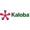 Kaloba Schwabe Pharma Kaloba Granulato In Bustina Estratto Di Radice Di Pelargonio