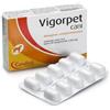 CANDIOLI Vigorpet Mangime Complementare per Cani 20CP