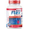 NEO ELEMENTUM OU ARTROFLEX ACTIVE 30 CAPSULE