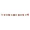 Folat 25000 Decorazioni Baby Shower per Ragazza - Striscione bandiera - Blooming Baby Girl - 6 metri - Decorazioni Gender Reveal