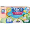 VALVERBE SOC.AGR.COOP. TISANA FREDDA ROSA CANINA E IBISCO 18 FILTRI