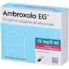 EG Ambroxolo EG® 15 mg/2ml 10 pz Soluzione per nebulizzatore