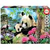 Educa - Puzzle 1000 pezzi Panda con Cucciolo | Puzzle Animali | Misura 68x48 cm | Include colla Fix | Per Adulti 14+ (17995)