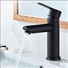 Djedjeo Rubinetto da bagno caldo e freddo in acciaio inox, lavabo moderno ed elegante; con funzione silenziosa e antigoccia; rubinetto del lavello a una maniglia per il bagno in cucina(nero)