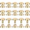 QUARKZMAN 25Pack Viti In Ottone Chicago Screws 3x8mm Tono Ottone | Per Fai Da Te Artigianato In Pelle Cinture, Viti Post Binding Chiodi Rivetti, Testa Piatta