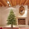 EDG Enzo De Gasperi Albero di Natale Pino Luxury 180x136cm Realistico 3000 LED 2664 Rami