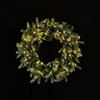 EDG Enzo De Gasperi Corona Ghirlanda Luxury 60cm con 100 LED Verde