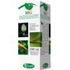 SANGALLI RIBES 100ML MG