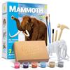 EGGBOX Kit di Scavo di scheletro di mammut per bambini Esplorare- Kit 2 in 1 di scavo e costruzione con mammut graffiti, esperimenti per bambini, esperimenti di paleontologia e fossili