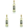 Bottega Chardonnay Trevenezie Igt Vino Bianco - 750ml (Confezione da 3)