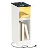MAHANCRIS Tavolino con Stazione di Ricarica, Comodino con Luce LED, Tavolino da Caffè, Ideale per Piccoli Spazi, Soggiorno e Camera da Letto, Nero e Bianco AETHW25UE01