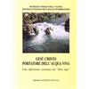 Libreria Editrice Vaticana Gesù Cristo portatore dell'acqua viva. Una riflessione cristiana sul «New Age»
