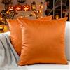 Encasa XO Set 2 pezzi di coperture ammortizzanti in VELLUTO (30x30 cm), Arancia- semplici, resistenti, morbide e liscie, lavabili, a grandi quadrati decorativi, cuscino federa per divano, sofa