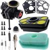ZAMDOE 795477 Carburatore per Briggs & Stratton 795469 794147 699660 794161 498811 498809, con Guarnizione Filtro Aria Membrana Candele Molle per Motori Verticali BS
