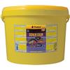 Tropical CICHLID COLOR FLAKES 11L / 2kg - Mangime di base altamente proteico per intensificare i colori dei ciclidi