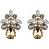 EVER FAITH Floreale Foglia Goccia Orecchini a lobo per Donne Ragazze, Marrone Strass Cristalli Simple Daily Forato