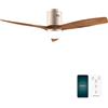 Cecotec Ventilatore da Soffitto con Luce EnergySilence Aero 5600 Aqua GoldDarkWood Connected. 40 W, LED 18 W, Diametro 132 cm, Wi-Fi, Telecomando, Protezione IP44, Timer 8 Ore, 3 Pale, 6 Velocità