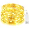Flaspar LED stringa luce USB, 10M 100LED impermeabile filo torcia, Micro rame filo stringa luci all'esterno e all'interno per fai da te Natale, stanza, festa, decorazione matrimoniale, bianco caldo
