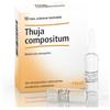 GUNA SpA Guna thuja compositum 10 fiale 2,2 ml