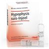 GUNA SpA Heel hypophysis suis inj 10f
