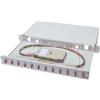Digitus Pannello di Gestione del Cavo Grigio Acciaio 1U 48,3 cm 19''