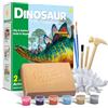 EGGBOX Kit di scavo di scheletro di dinosauro per bambini, set 2 in 1 di scavo e pittura di Stegosaurus, giocattolo di dinosauro per bambini, esperimenti di paleontologia e fossili