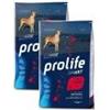 PROLIFE DOG SMART ADULT BEEF&RICE GIANT 12 KG*Acquisto minimo 2 SACCHI*