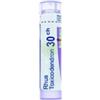 BOIRON SRL RHUS TOXICODENDRON 30CH 80GR4G
