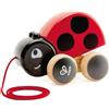 Hape Coccinella Trainabile