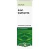 Erba Vita Olio Essenziale Di Pino Silvestre 10 ml essenziale