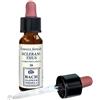 Erba Vita Scleranthus Original Gocce 10 Ml ml orali