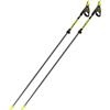 Fizan NW Carbon Pro Race bastoncini nordic walking