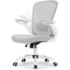EUREKA ERGONOMIC Sedia da ufficio in rete, sedia ergonomica da scrivania con supporto lombare regolabile, braccioli ribaltabili, traspirante, passata BIFMA (grigio)