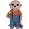 Vivid Arts Baby Meerkat - Giardiniere, taglia D