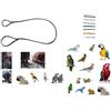 BLUSUPERSHOP guinzaglio laccio elastico CORDA 3MM x 1 M DA COCORITE AD ARA DA INSERIRE alla ZAMPA DEL TUO PAPPAGALLO per portarlo IN GIRO, per tutte le razze (bianco)