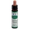 SANTIVERI SA AINSWORTHS RECOV REMEDY 10ML