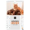 Finocam - Calendario 2023 con immagini da parete a spirale per scrivere da gennaio 2023 a dicembre 2023 (12 mesi) Cani e gatti spagnoli