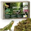 OFFCUP Sfagno per Piante 500g Muschio di Sfagno Terrario Rettile Compresso Sphagnum Moss di Alta qualità per Rettili Muschio Verde Vivo per Terrari Schiusi Sfagni Forestali Substrato