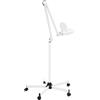 Babeenoo 5 X LED lente d'ingrandimento con piedistallo, lampada a LED con treppiede, 24 W, braccio girevole, lente d'ingrandimento, colore bianco, per ricamatori, dentisti, chiodo tecnici